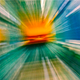 Image for article titled Zoom Photo Challenge Gallery 2